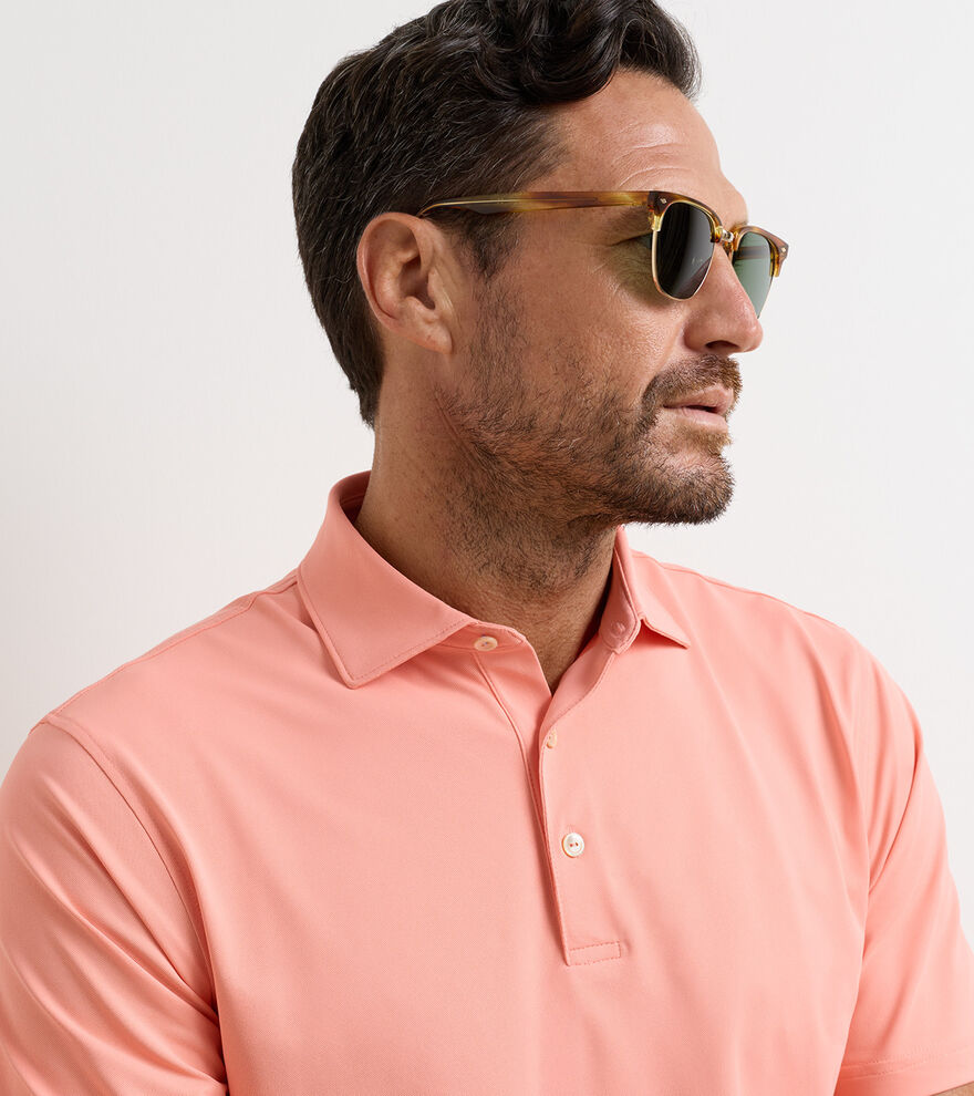 Solid Performance Mesh Polo image number 5