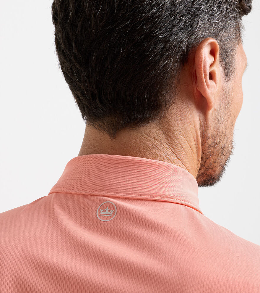 Solid Performance Mesh Polo image number 4