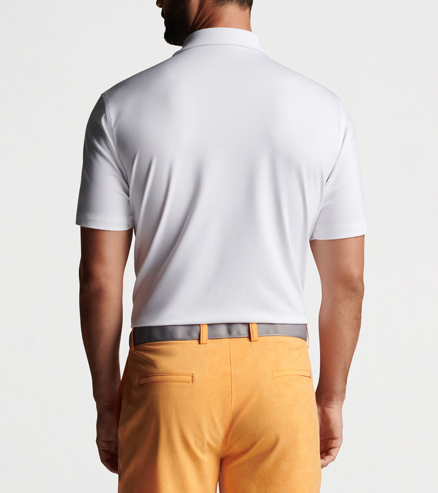 Solid Performance Jersey Polo (Edwin Spread Collar) Men's Polo Shirts