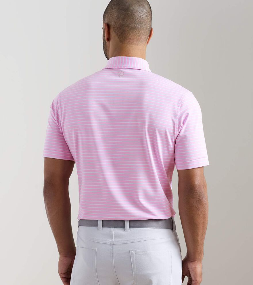 Dunnes Performance Jersey Polo - Alternate Image 2
