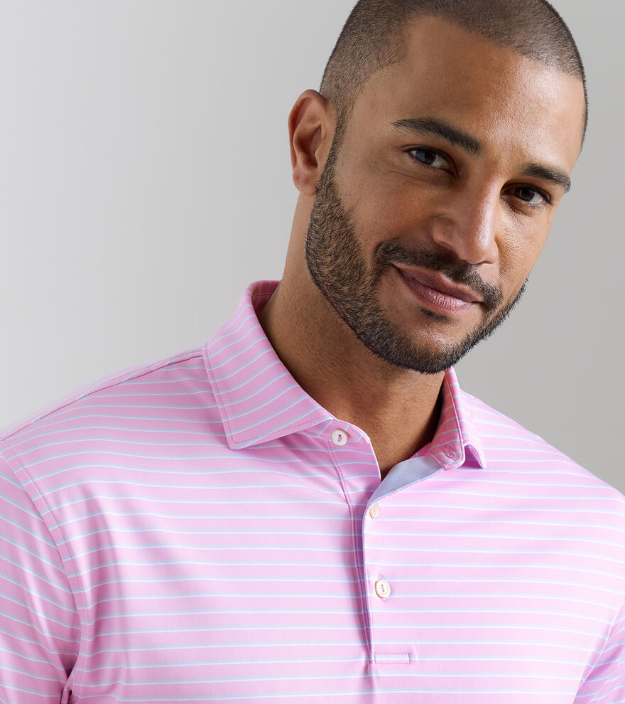 Dunnes Performance Jersey Polo image number 5