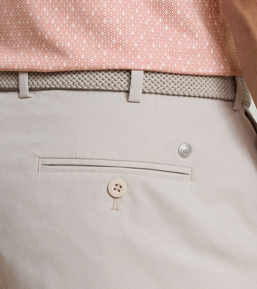 Surge Performance Short image number 4