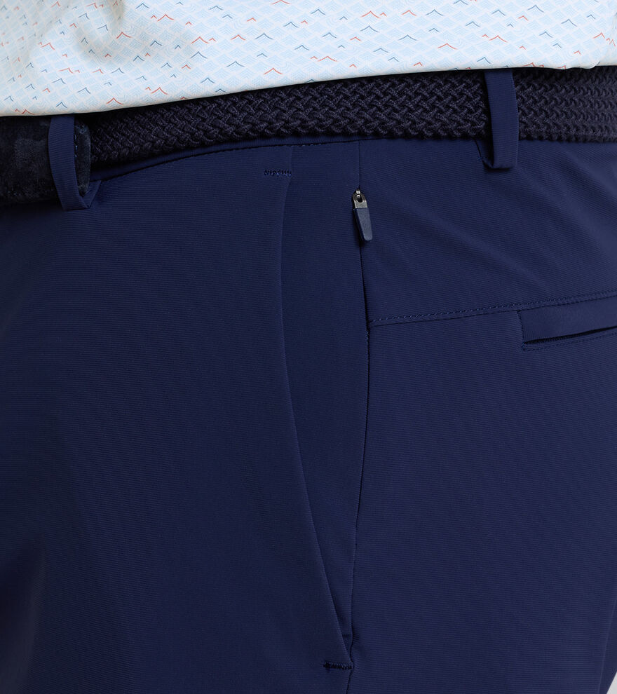 Bingham Performance Short image number 4