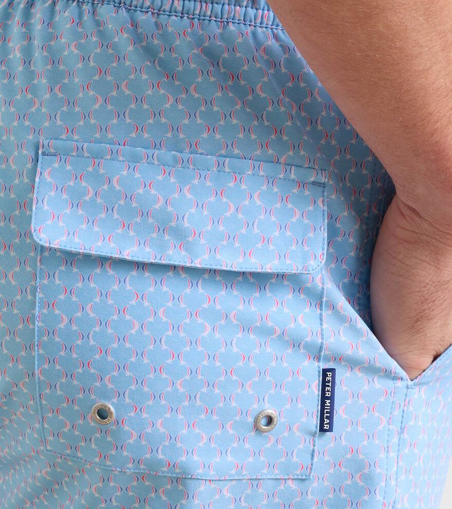 Wind In Your Sails Swim Trunk image number 5