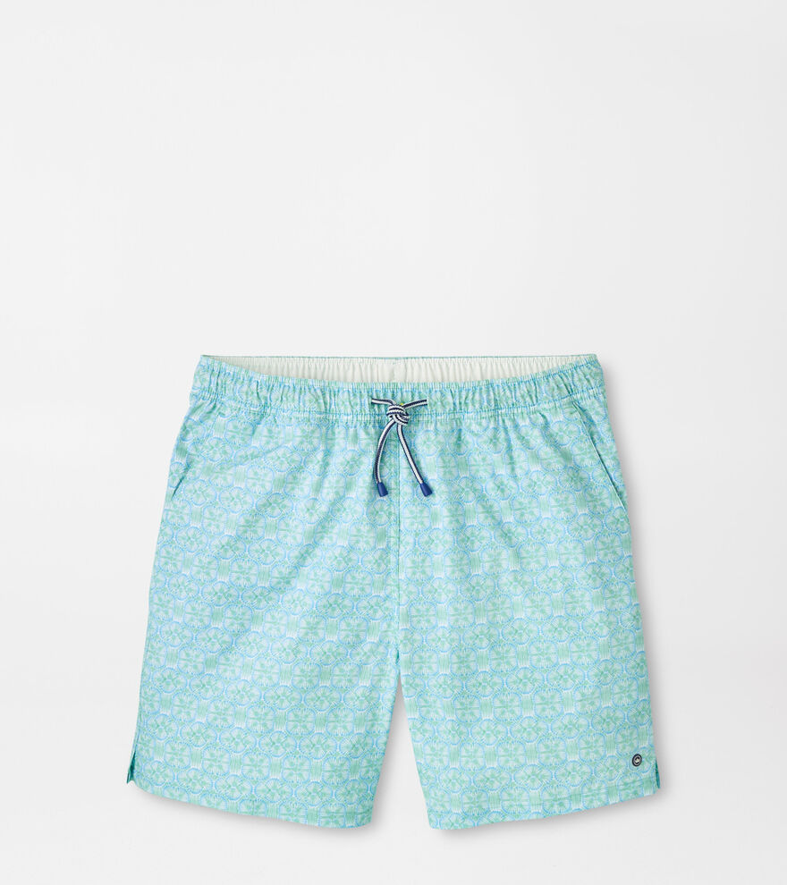 Tide Lines Swim Trunk image number 1