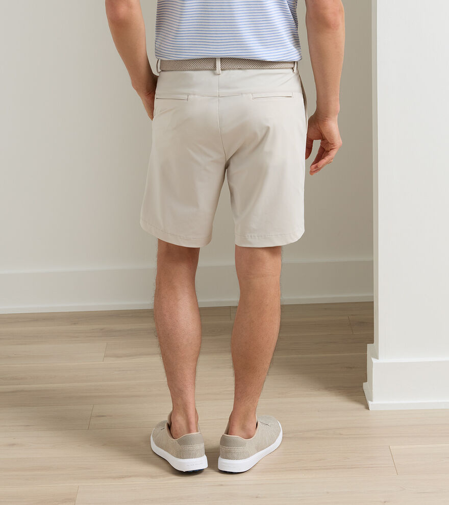 Bingham Performance Short image number 3