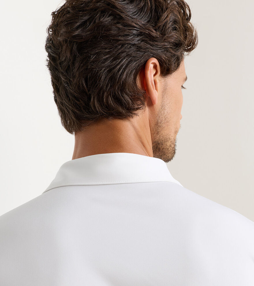 Solid Performance Jersey Polo (Sean Self-Collar) | Men's Polo Shirts ...