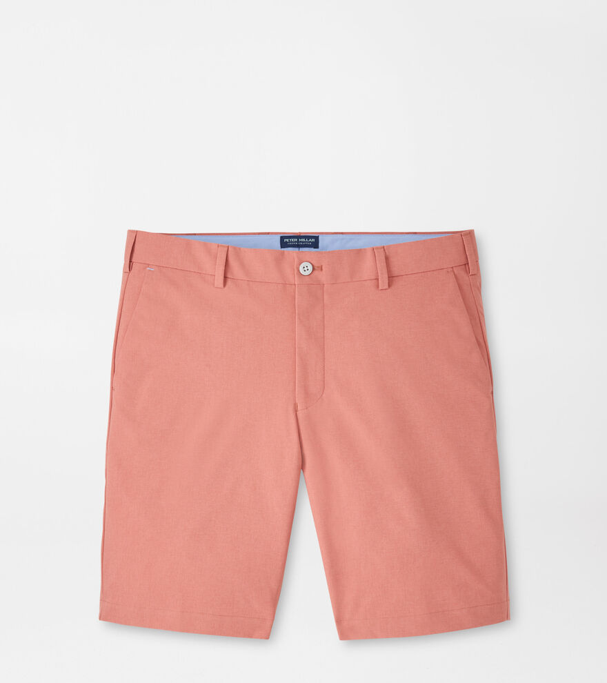 Surge Performance Short image number 1