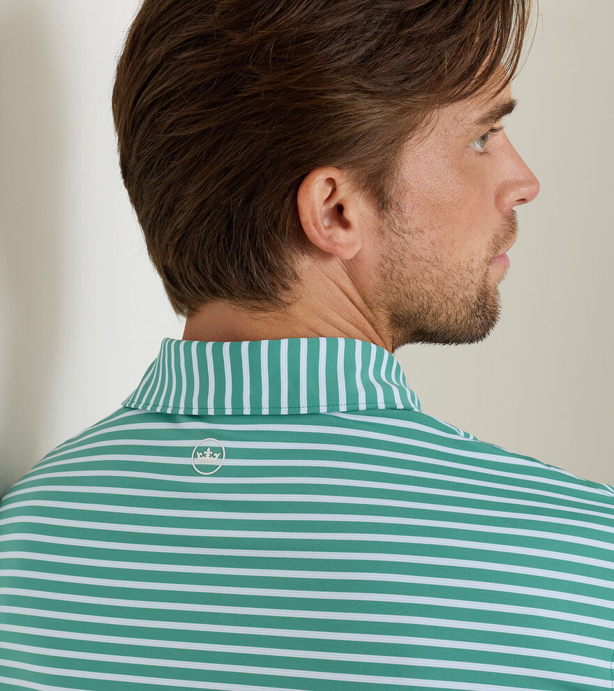 Ashford Performance Jersey Polo image number 4